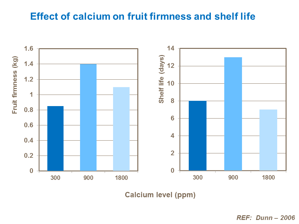 effect of calcium on fruit firmness and shelf life