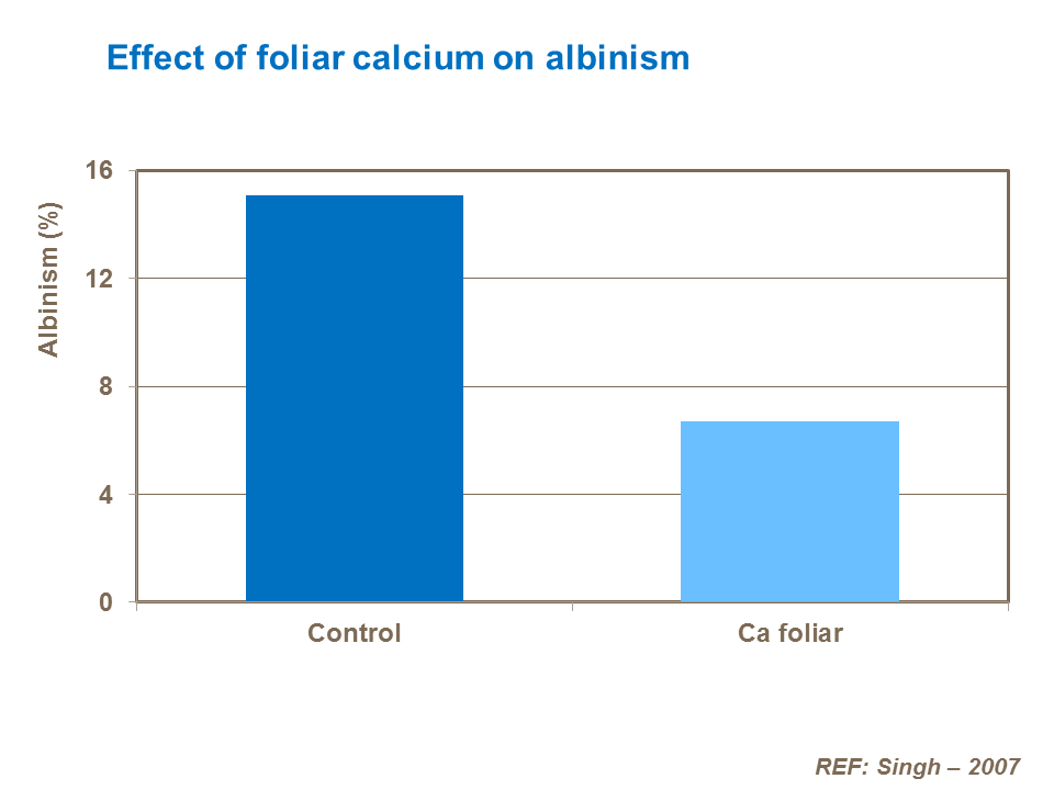 effect of foliar calcium on albinism