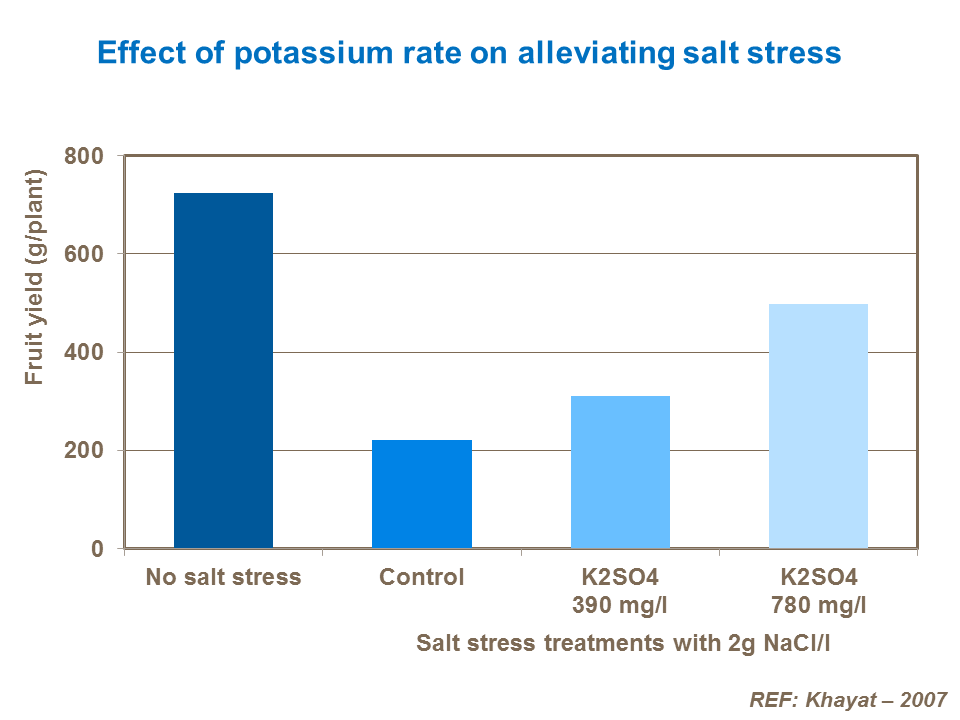 effect of potassium rate on alleviating salt stress