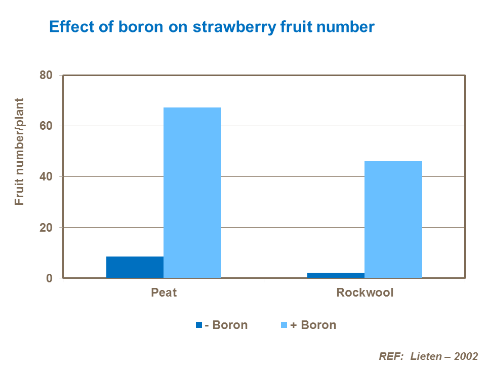 effect of boron on strawberry fruit number