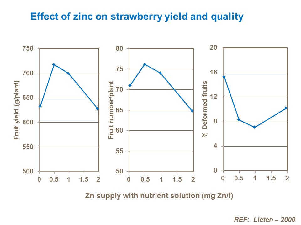 effect of zinc on strawberry yield and quality