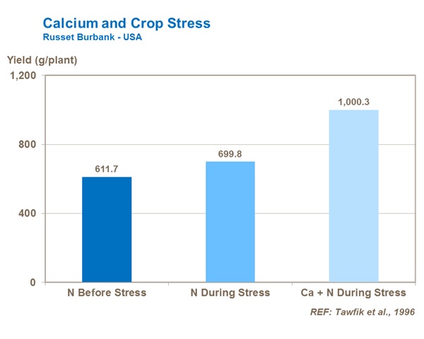 Calcium and Crop Stress