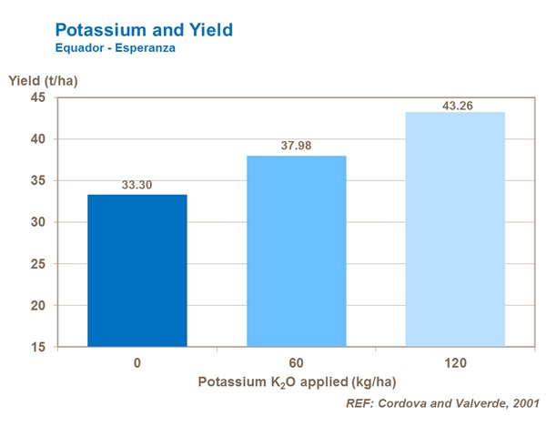 Potassium and Yield