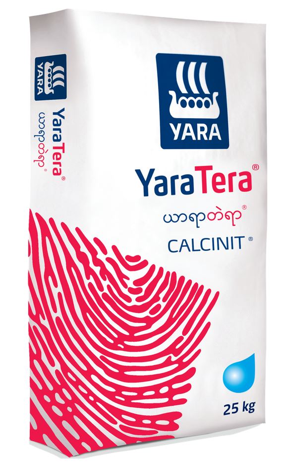 YaraTera 